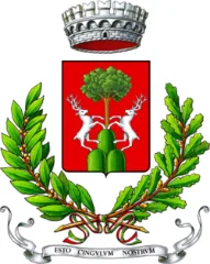 Coat of arms of the Municipality of Cingoli