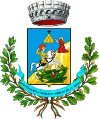 Coat of arms of the Municipality of Montegiorgio