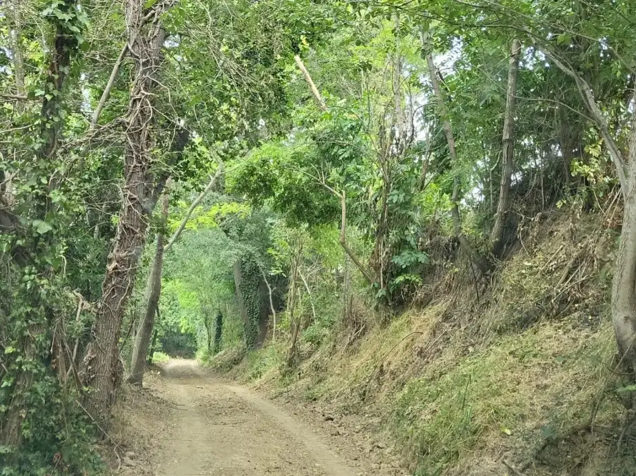 Inter-municipal cycle and pedestrian network – Massa Fermana